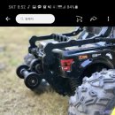 알리와 윌리 이미지