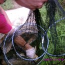 백곡낚시터 이미지