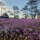 모산고인돌마을 이미지