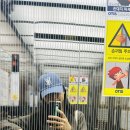 11590-다9 이미지