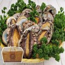 완도12호 이미지