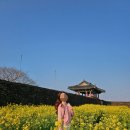 성읍민속남문상가-1 | 제주도 유채꽃 명소 성읍민속마을 제주동쪽여행