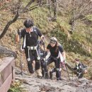 지금부터 한 걸음 도심 속 러닝 이미지