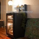 맛너머맛 | 가정용 하이얼 와인셀러 가성비 와인 맛 변화 실사용후기