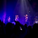 장미여관 이미지