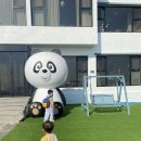 제주키즈가족바닷가하우스 이미지