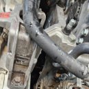 다함오토 이미지