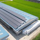 새울태양광발전소 이미지