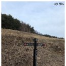송실농장 네이버블로그