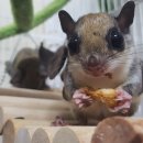 사랑애완동물병원 이미지