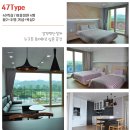 오션비치 이미지