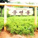 운연동 추어마을 Daum카페