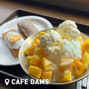 담스 | [용인/카페 담스] 용담호수 앞에 위치한 브런치맛집 '카페 담스' 방문 후기