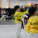 품 태권도장 이미지