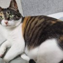 남중동-22 이미지