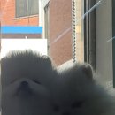 여주켄넬 이미지