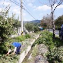 넝쿨농장 이미지