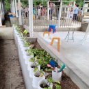 성주목장 이미지