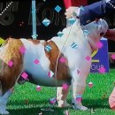 정원인터내셔날 이미지