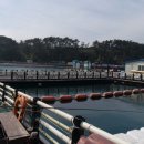 송정유료낚시터 이미지