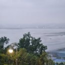 리프패럿다대포점