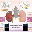 건국대학교(글로컬) 사회과학대학원 이미지