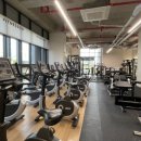 피트니스코 이미지