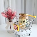 가평청솔잣