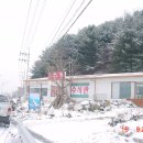 수석겔러리 이미지