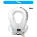 아라칸레져