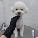 하이뭉치 유치원 이미지