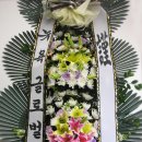 세브란스플라워