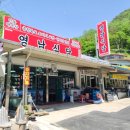 영남식당 | 단양현지인맛집 영남식당 마늘떡갈비 후기