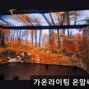 가온라이팅 네이버블로그
