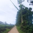 해비치부동산공인중개사사무소 이미지