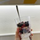 베리뎁 | 메가커피 가을 신메뉴 요거젤라또 초코베리믹스 후기 | 요아정 갈필요 없음🍨