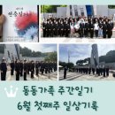 주간일기 6월 첫째주 일상기록 / 현충일 추념식 연주 / 운동과 식이조절에 진심