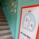 에바 가위컷 전문점 이미지