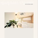 엠디치과의원 | 내발산동필라테스 엠디필라테스 우장산역점 추천 다이어트 레슨 운영시간