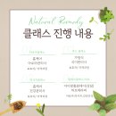 네추럴레매디 이미지