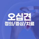 세종더튼튼의원 네이버블로그