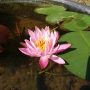 안동농원 이미지