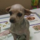 미성동-18 이미지