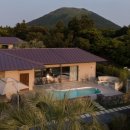 스테이 그로브 이미지