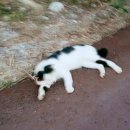 가평해피데이펜션 이미지