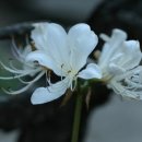 성공을 부르는 명리학 이미지