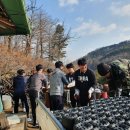 횡성고등학교 이미지