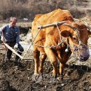 건강하소 이미지