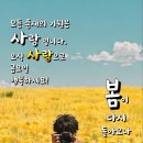 기쁨샘
