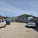 퀸에스테틱 | 퀸앤퀸에스테틱 방문후기